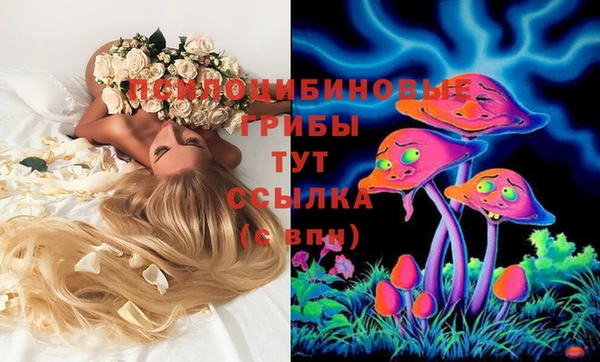 экстази Ладушкин