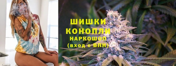 стаф Тольятти